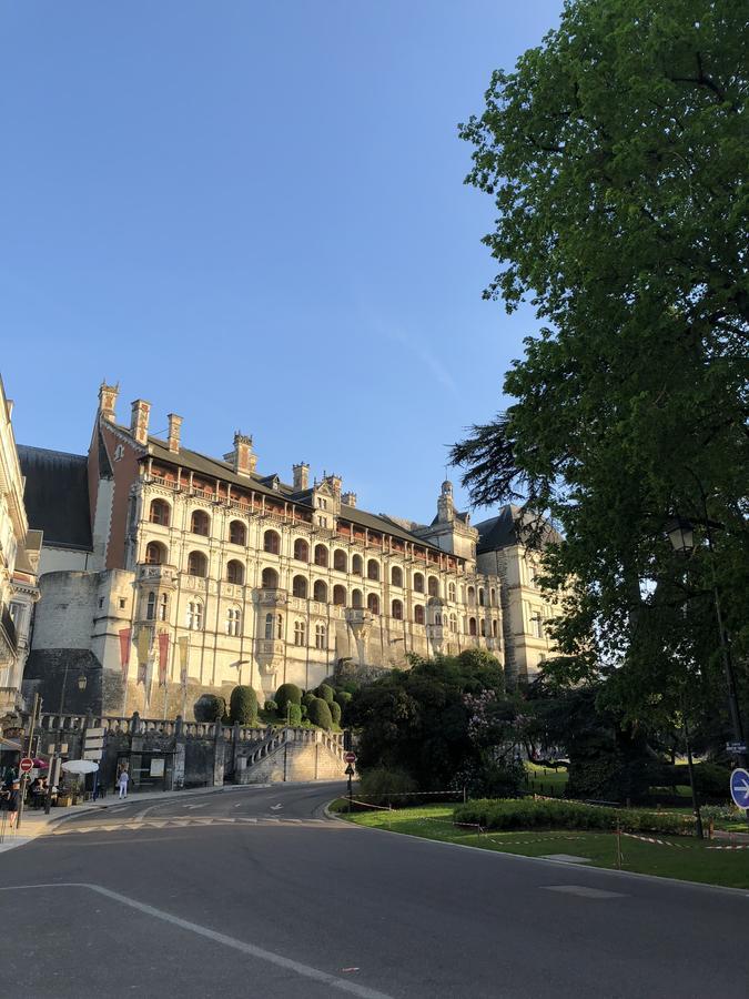 Logis Hotel Louise De Savoie Блуа Экстерьер фото